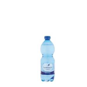 Acqua frizzante - PET -...